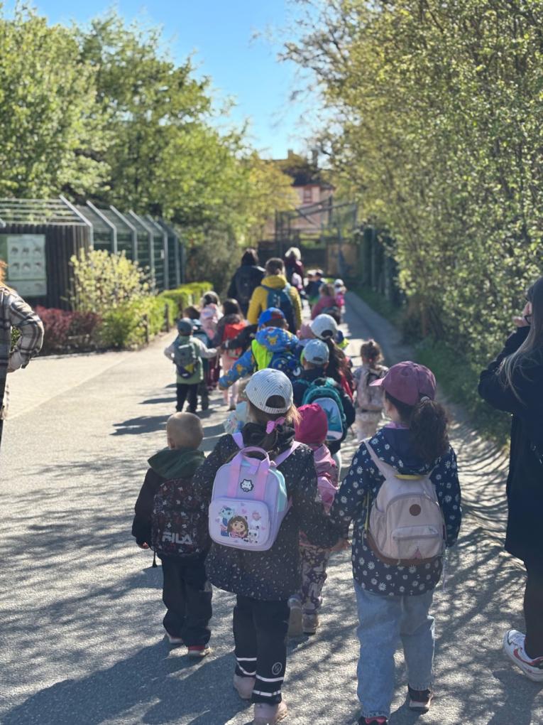 výlet ZOO Hluboká výlet ZOO Hluboká